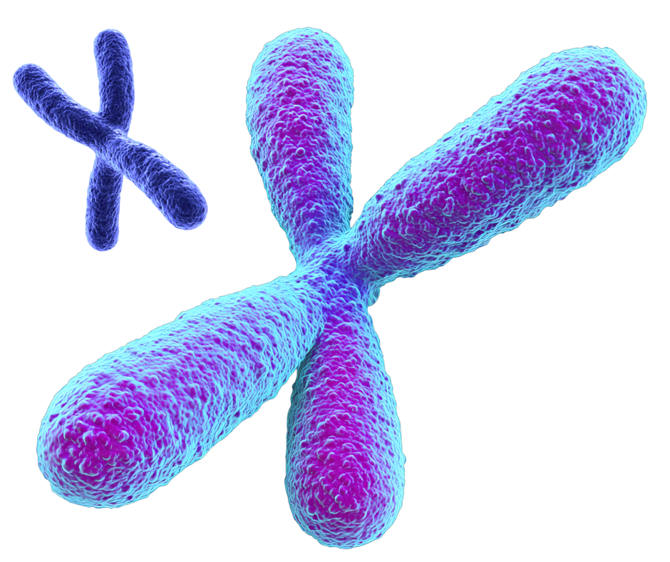 dna8