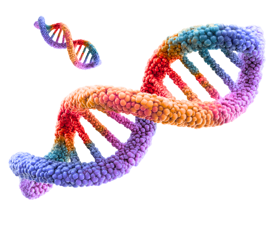 dna9