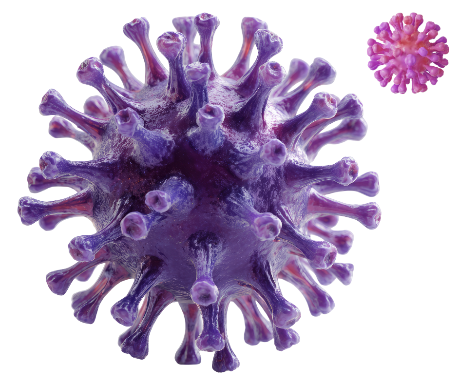 virus2