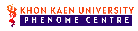 cropped e0b89be0b989e0b8b2e0b8a23e0b8a1e0b8b4e0b895e0b8b4.png